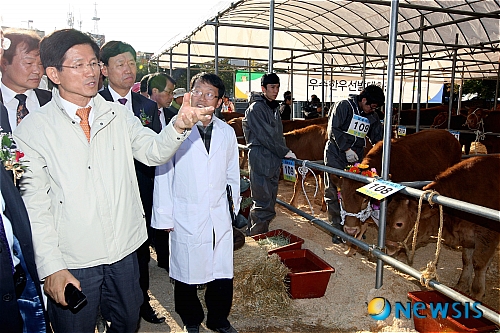 월드컵축산 이미지