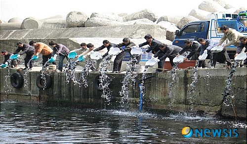 한국전복연구소 이미지