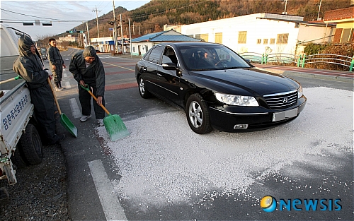 경북한우축산조합 이미지