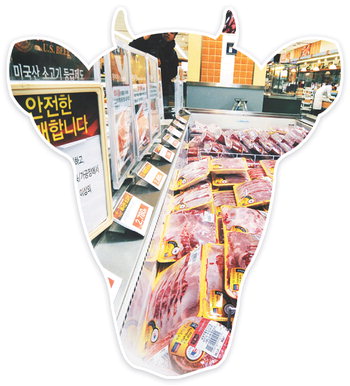 유에스트레이드 이미지