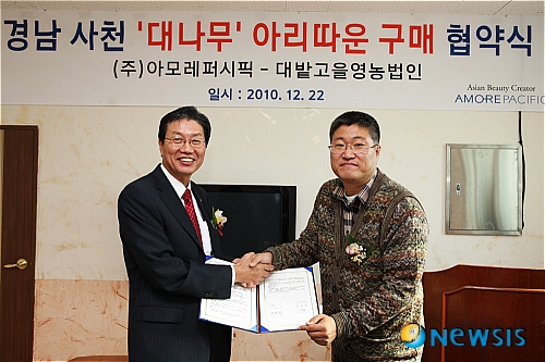 경남인삼 이미지