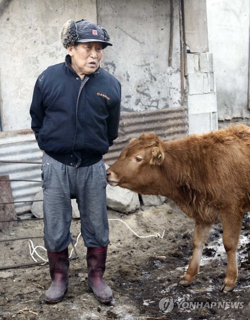 주인 이미지