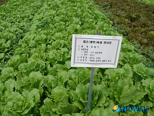 토배기 이미지