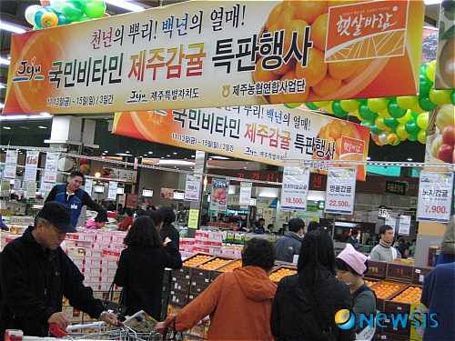 제주한라유통 이미지