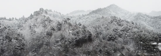 산과바다 이미지
