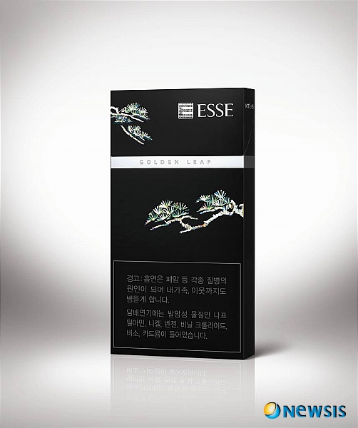 리프디자인 이미지