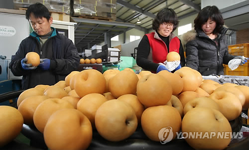 하나로수산동 이미지