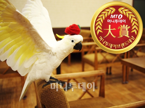 까꿍이네 이미지