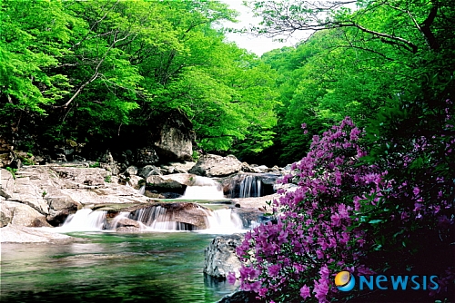 경관자원 이미지