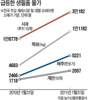 폭탄돼지 이미지