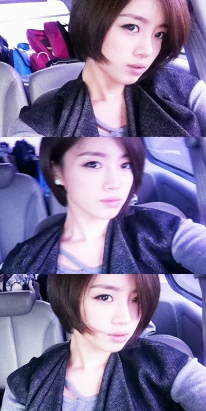 시크헤어 이미지
