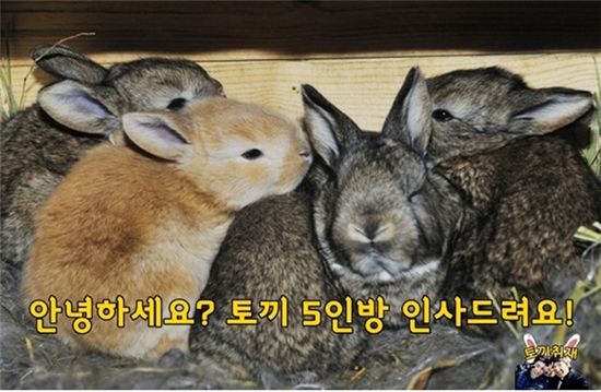 형제기획 이미지