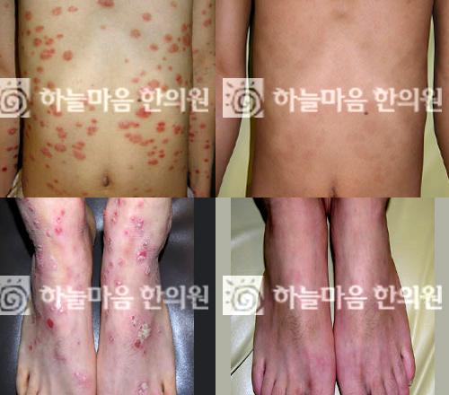 하늘조경원 이미지