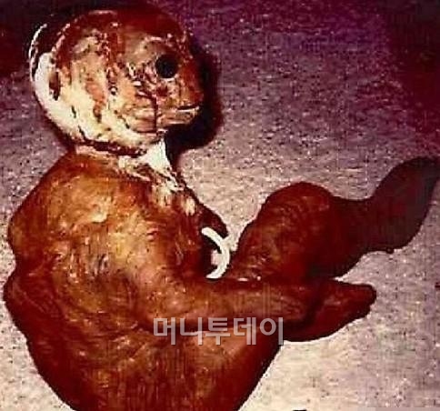 사진세계 이미지