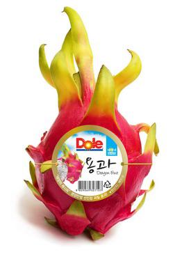 용과 서울 이미지