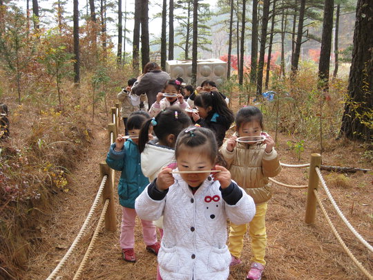 숲유치원 이미지