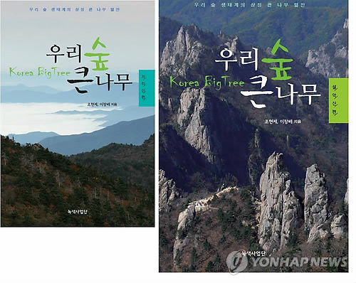 지리산큰나무 이미지