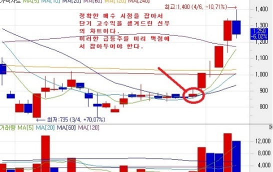 신우엘에스 이미지