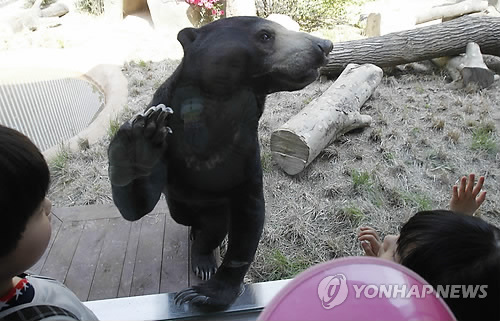 꼬마곰놀이터 이미지