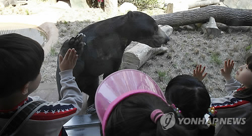 꼬마곰놀이터 이미지