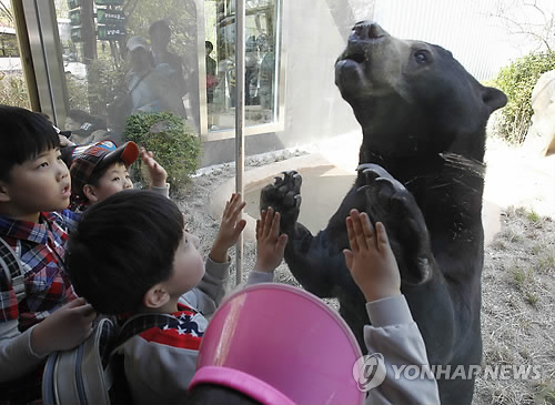 꼬마곰놀이터 이미지