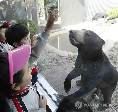 꼬마곰놀이터 이미지
