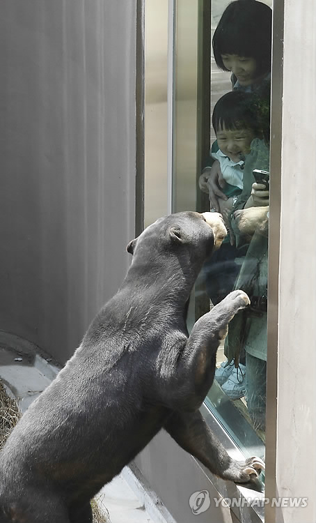 꼬마곰놀이터 이미지