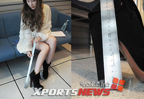 슈어홀릭 이미지