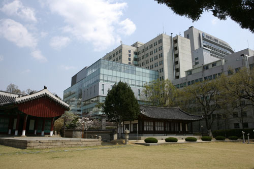 심장쿠키 이미지