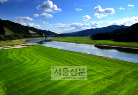 연초록 이미지