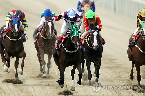 마주 이미지
