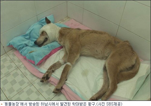 동물농장 이미지