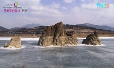 (주)여행장군 이미지