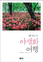 하늘에서나리다 이미지