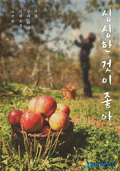 여행아놀자 이미지