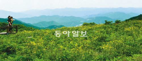 산좋고물좋고 이미지