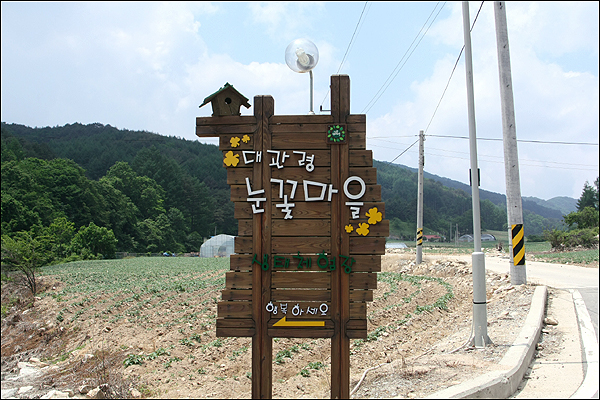 눈꽃마루 이미지