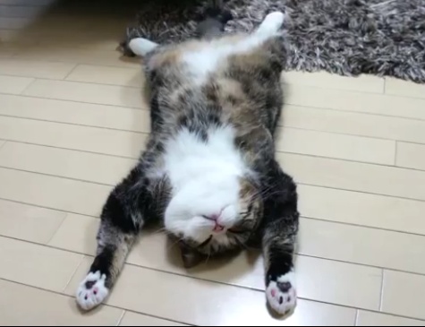 마루영상 이미지