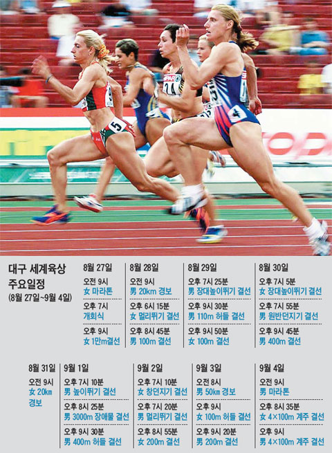 선진스포츠 이미지