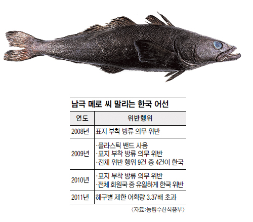 마구잡이수산 이미지