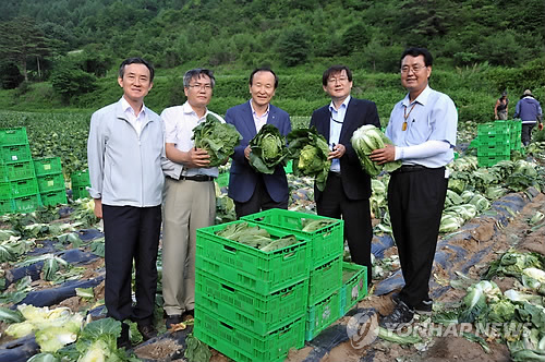 대관령농수산 이미지