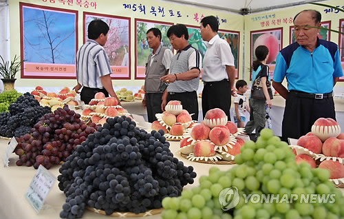 포도모바일 이미지