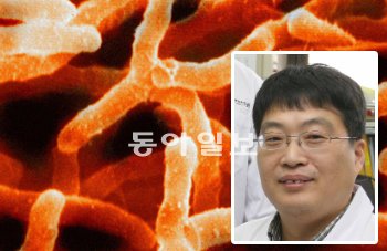 황금알 이미지
