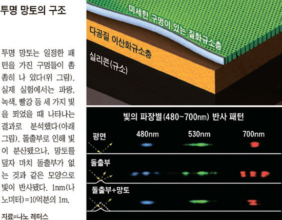 투명망토 이미지