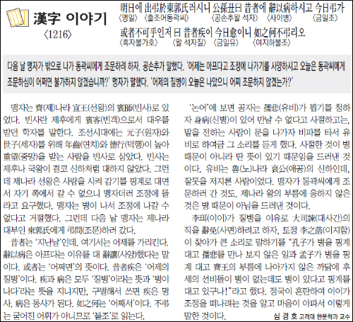 일진란제리 이미지