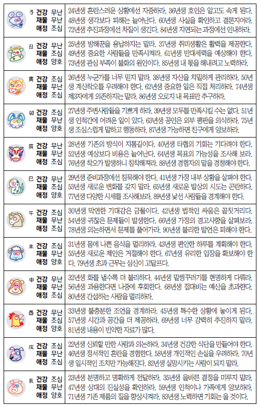 일진란제리 이미지