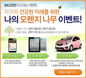 이벤트오렌지나무 이미지