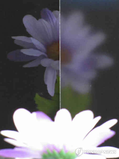 세계광택 이미지