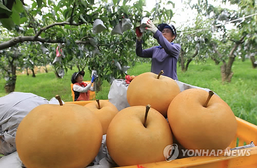 하나로수산동 이미지