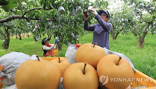하나로수산동 이미지